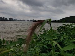 -云龙湖旅游景区