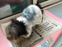 -北京赛佳动物医院