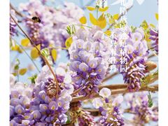 -洛阳市隋唐城遗址植物园
