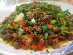 -潼南太安名鱼•特色江湖菜 太安鱼