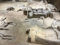 -洛阳周王城天子驾六博物馆