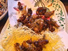 -崮乡圣水坊赵家炒鸡(花都店)