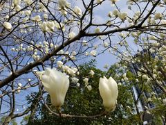 -无锡市市民中心