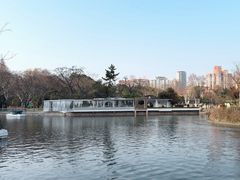 -中山公园
