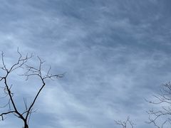 -狼牙山风景区