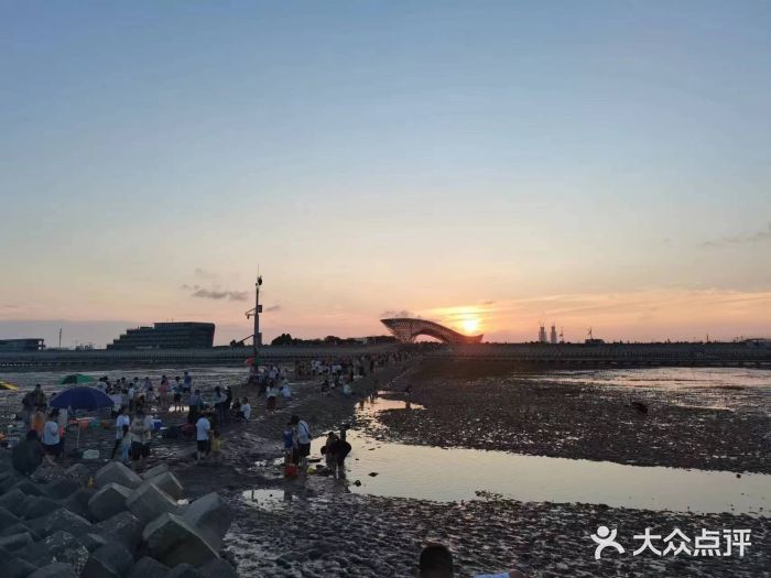 南汇嘴观海公园图片