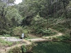 -素山寺森林公园