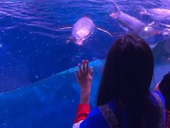 -暹罗海洋世界