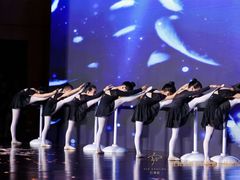 -红舞鞋舞蹈教育(近江校区)