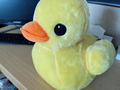 -常州九洲环宇大酒店(常州火车站店)