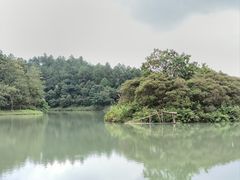 -广州白江湖森林公园