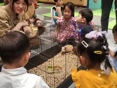 -杭州开元森泊度假乐园