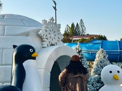 -汕头中海黄金海岸水上乐园