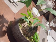 -百富源·海鲜辽菜(张士店)