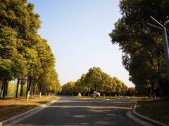 -如皋市龙游湖欢乐世界