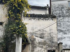 -上坦村