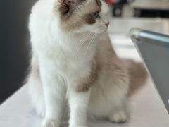 -YESUS椰稣咖啡概念店