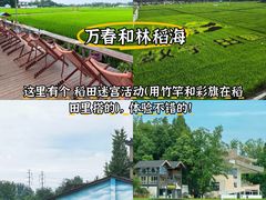 -老鼎万春卤菜(五代传承创始老店)