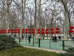 -达活泉公园