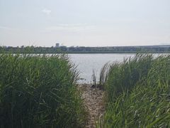 -绿堤公园