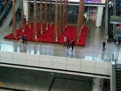 芋艿煲-阿英煲(凉城路店)