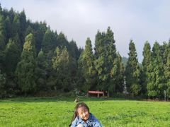 -武陵山森林公园