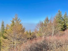 -苏木山森林公园