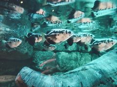 -沈阳海洋探索中心