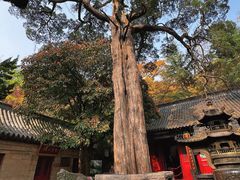 -青岛崂山太清宫