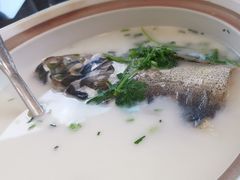 -紫藤园·天目湖大鱼头(南山竹海店)