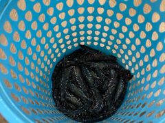 -小海豚•老字号海鲜餐厅(天涯店)