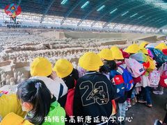 -杨梅红艺术教育(西安高新唐延教学中心)