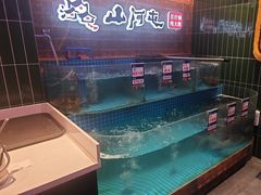 -山河屯铁锅炖(哈西站店)