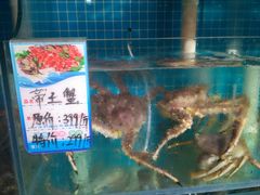 -鲜小岛·铜锅涮肉