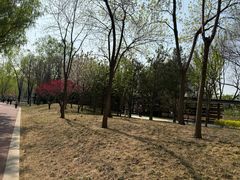 -南长河公园