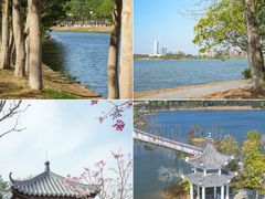 -荔湾湖公园