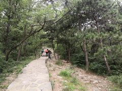 -阳台山自然风景区