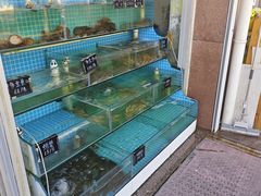 -北戴河庆山饭店·海鲜砂锅粥(北戴河黑石路店)