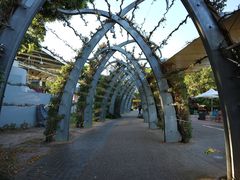 -布里斯班南岸公园