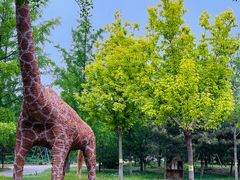 -永定河休闲森林公园