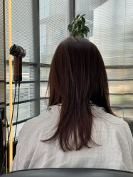 -Hair Code芭曲发型