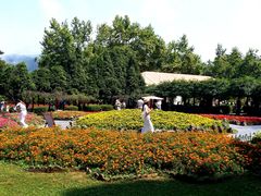 -庐山风景区花径公园