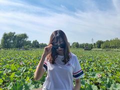 -羊亭河湿地公园