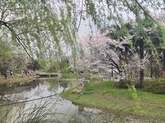 -堤角公园