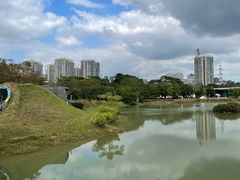 -福田红树林生态公园