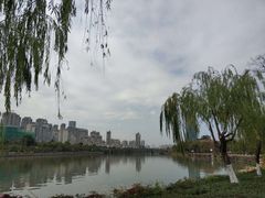 -光明港公园