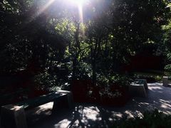 -世纪同乐绿地世纪城二期