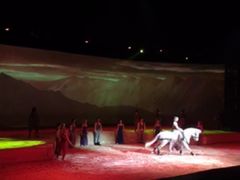 -cavalia·舞马