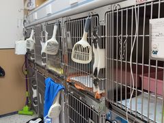 -瑞派康怡24h宠物医院·犬猫医疗中心·微创绝育(瑞景分院)
