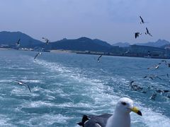 -海驴岛(荣成市)